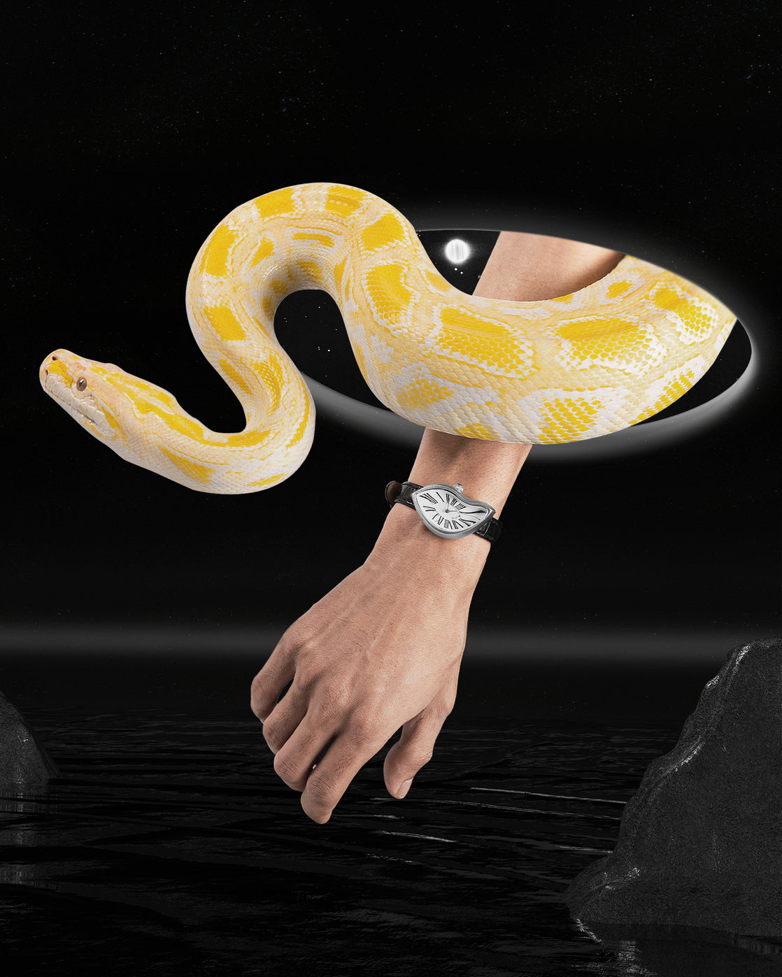 Pelo V1 Analog Watches